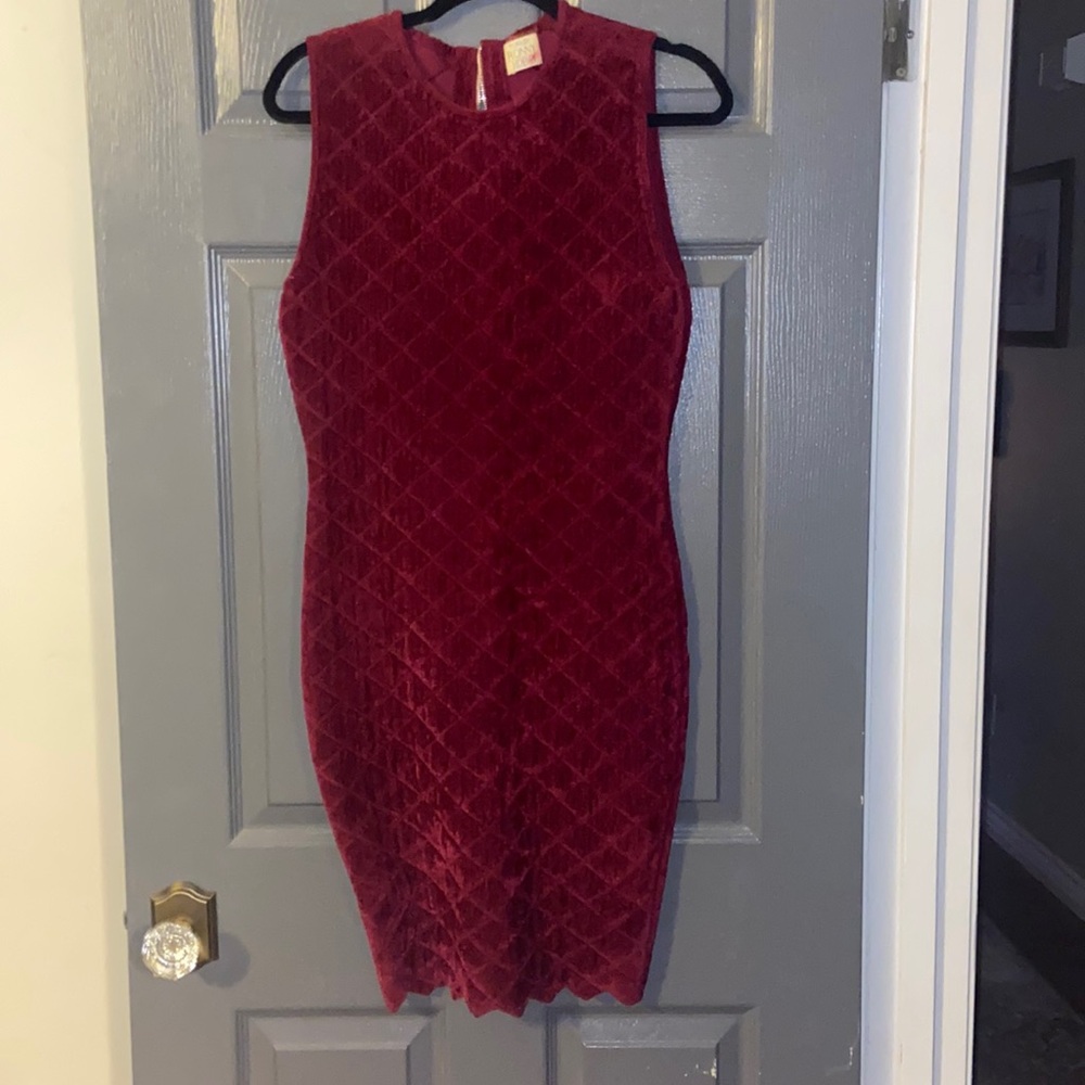 Torn by Ronny Kobo velvet dress